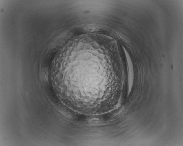 X0000073980315200608281245