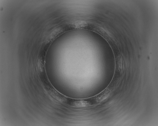 X0000073980316200608281245