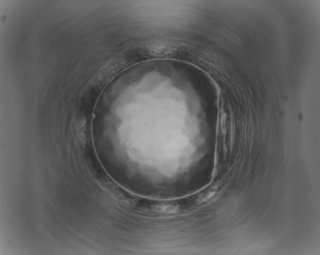 X0000073980319200608281245