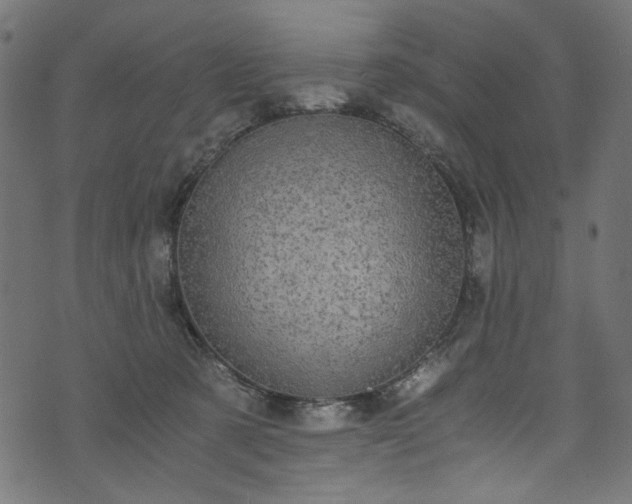 X0000073980321200608281245
