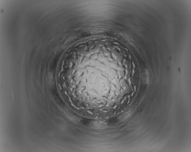 X0000073980327200608281245