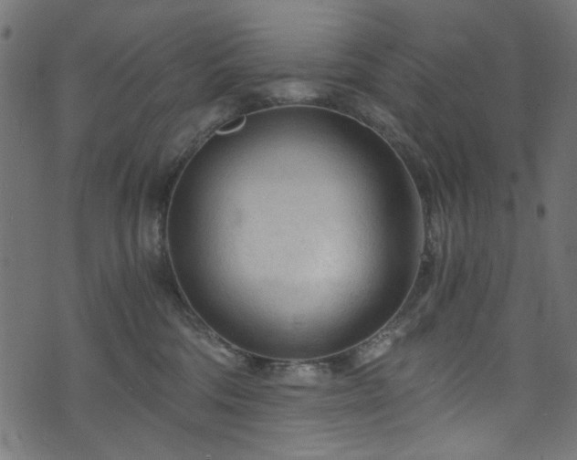 X0000073980330200608281245