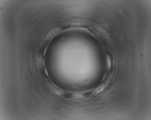 X0000073980333200608281245