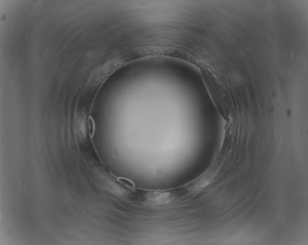 X0000073980334200608281245