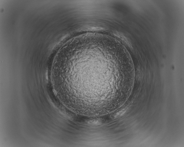 X0000073980358200608281244