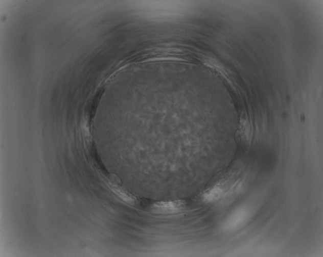 X0000073980381200608281245