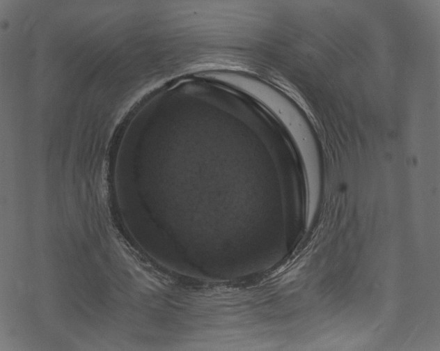 X0000073980387200608281244