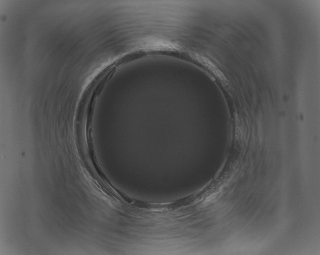 X0000073980391200608281244