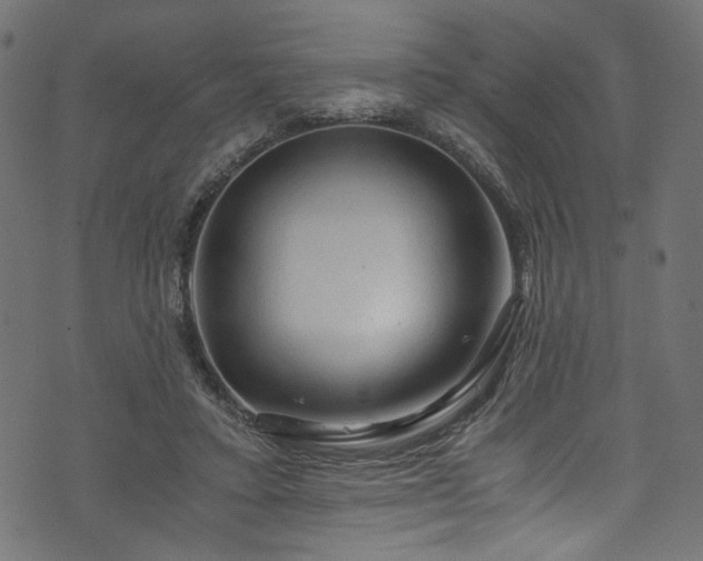 X0000073980403200608281244