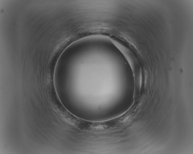 X0000073980407200608281244