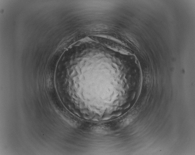 X0000073980408200608281244