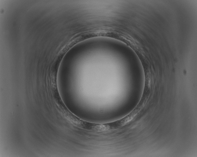 X0000073980421200608281243