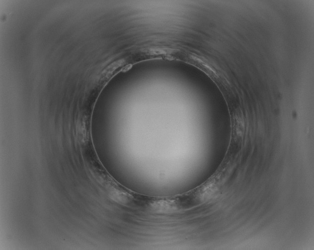 X0000073980422200608281243