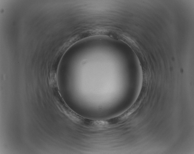 X0000073980429200608281243