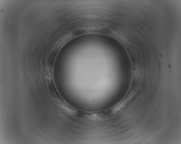 X0000073980430200608281243