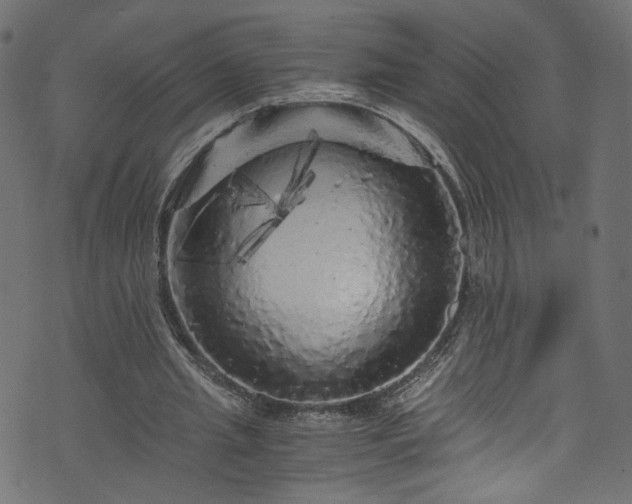 X0000073980437200608281243