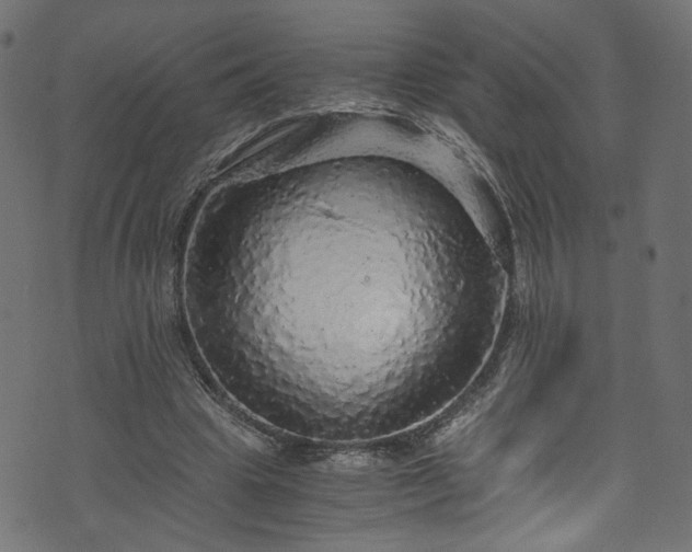 X0000073980441200608281243