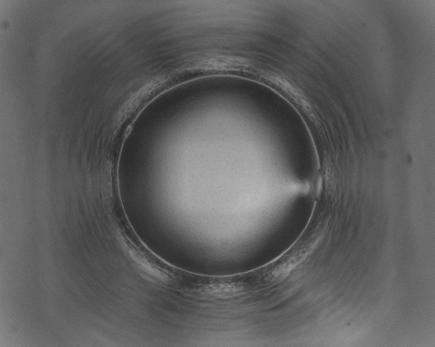 X0000073980445200608281243