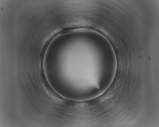 X0000073980446200608281243
