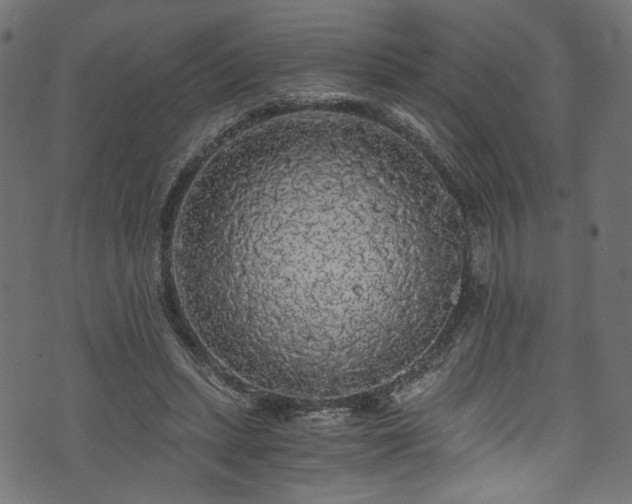X0000073980447200608281243