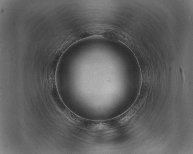 X0000073980460200608281243
