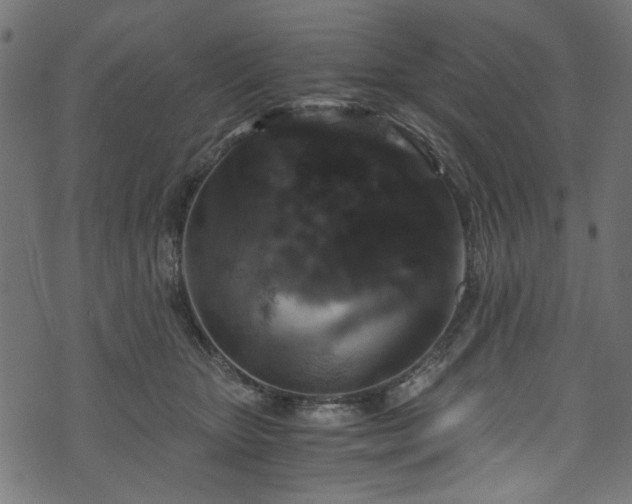 X0000073980467200608281243