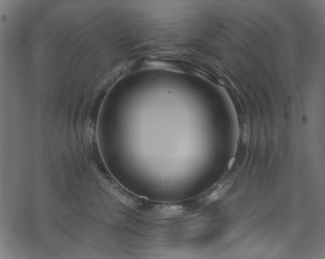 X0000073980476200608281243