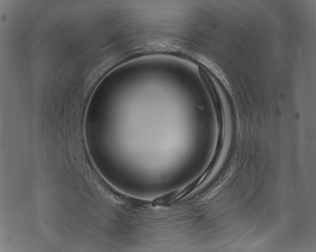 X0000073980481200608281242