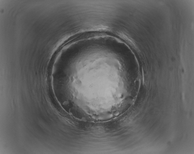 X0000073980483200608281242