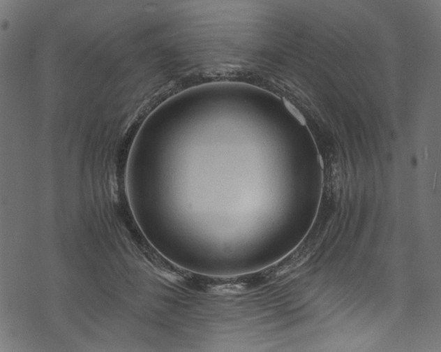 X0000073980508200608281242