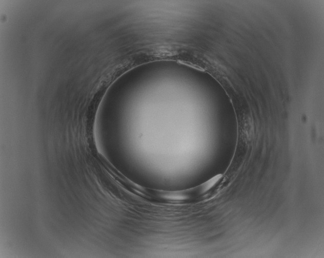 X0000073980512200608281242
