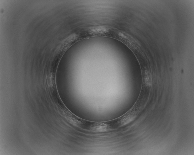 X0000073980514200608281242