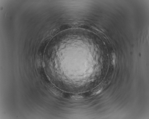 X0000073980515200608281242