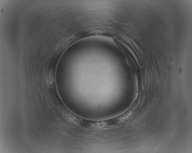 X0000073980517200608281242