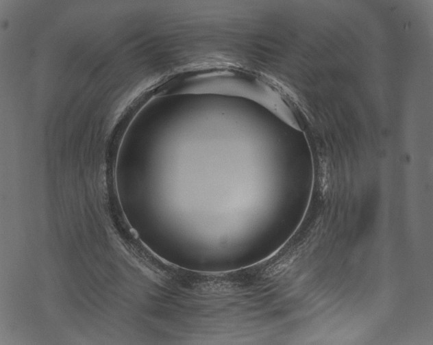 X0000073980535200608281241