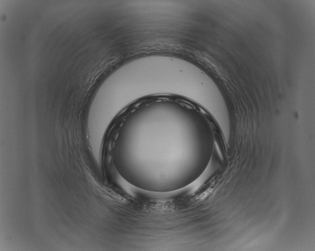X0000073980546200608281241