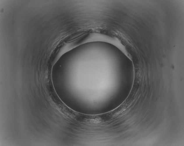 X0000073980548200608281241