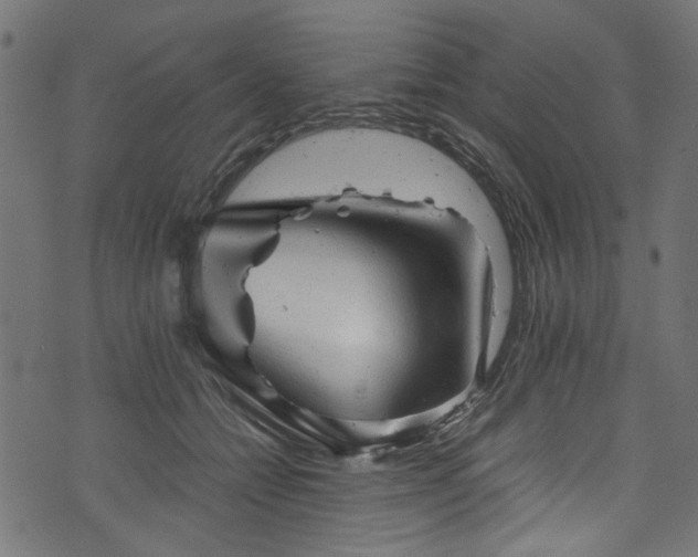 X0000073980558200608281241