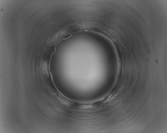 X0000073980575200608281242