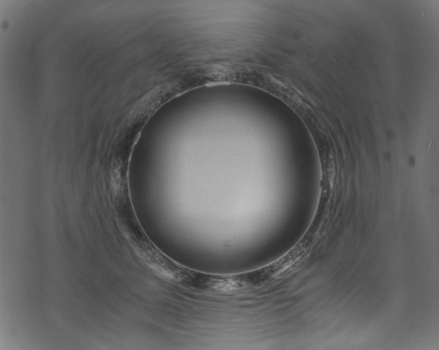 X0000073980611200608281240