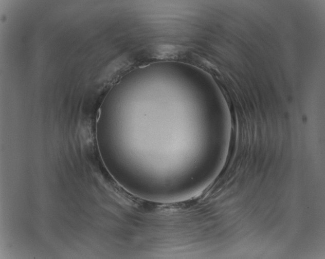 X0000073980620200608281240
