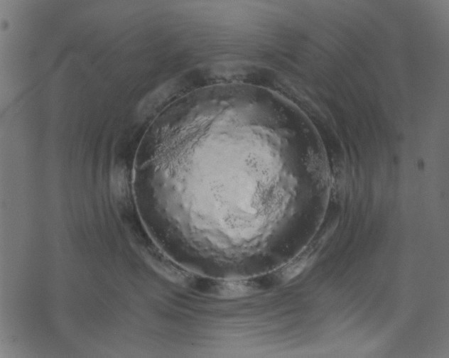 X0000073980623200608281240