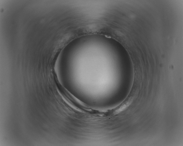 X0000073980624200608281240