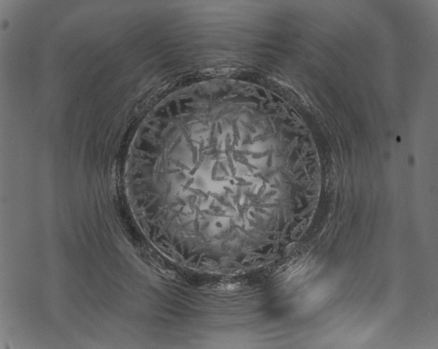X0000073980647200608281240