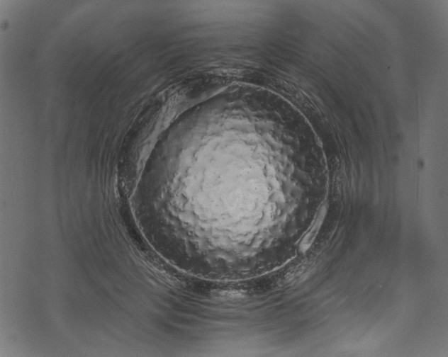 X0000073980649200608281240