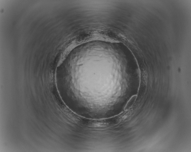 X0000073980657200608281240