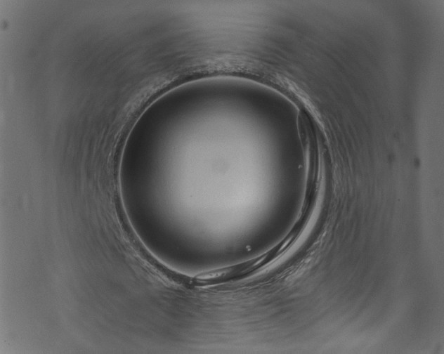 X0000073980673200608281239
