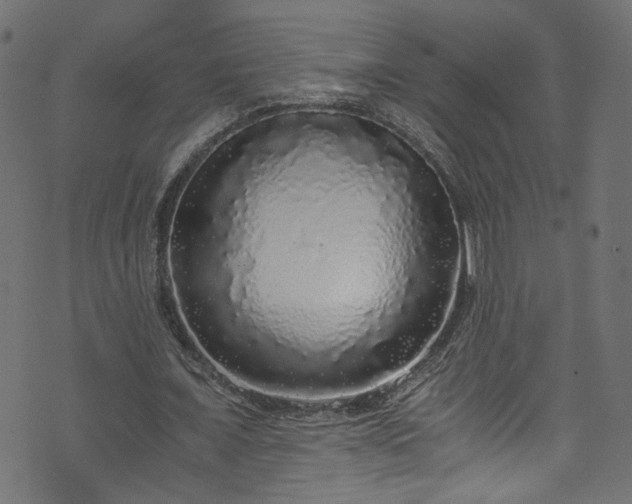 X0000073980675200608281239