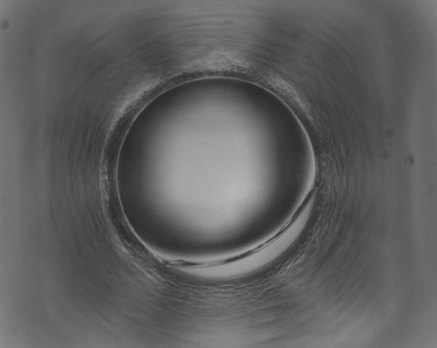 X0000073980680200608281239