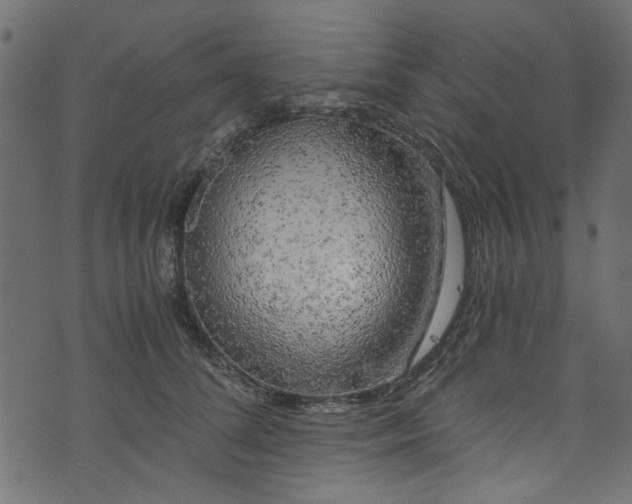 X0000073980708200608281239